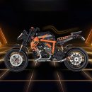 1290 SUPER DUKE R | 580PCS