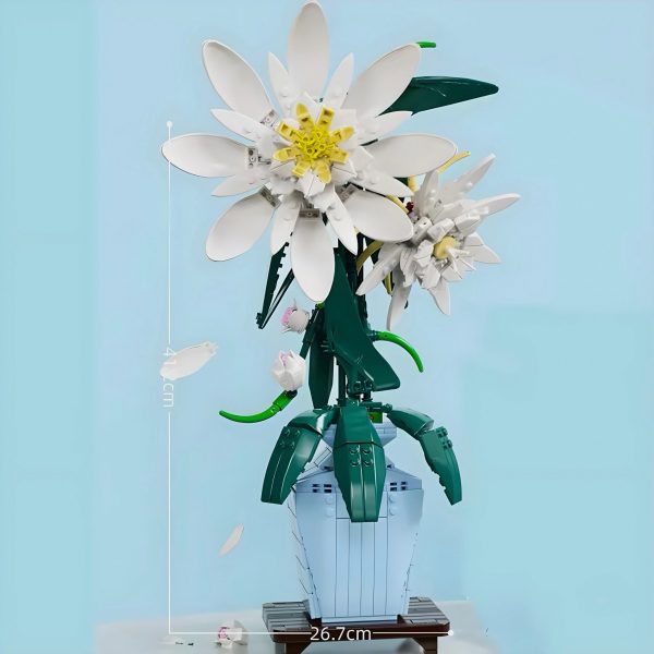 EPIPHYLLUM | 568PCS - Image 3