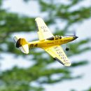 TOP RC HOBBY 402mm P39 2.4G 4CH 6-Axis Gyro EPP Warbird RC Plane RTF