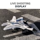 Fixed Wing 2.4G 4 Channel Kid Boy Gift BM16 for F22 Raptor RC Glider Plane Toy EPP Foam Remote Control Airplane